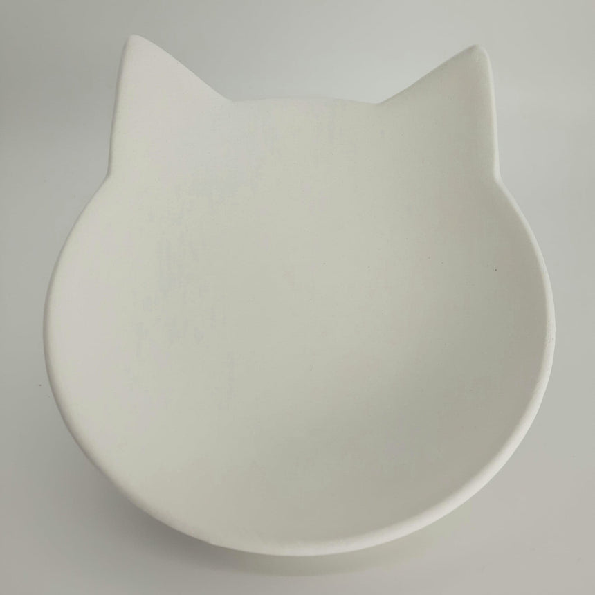 Cat Dish