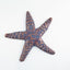 Pottery Starfish - Large