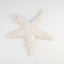 Pottery Starfish - large